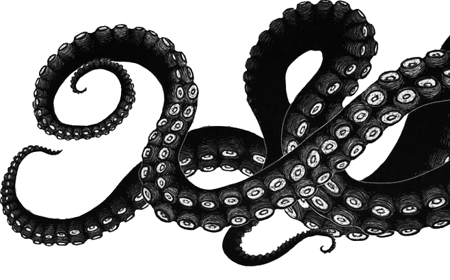 bw tentacles drawing pinterest tentacle octopus...