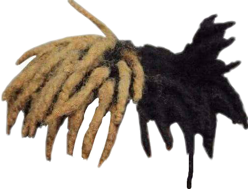 Xxxtentacion Hair Png - Free Logo Image