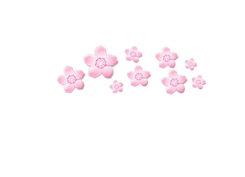 freetouse cute png sakura flower pink crown... - 1024 x 740 png 110kB