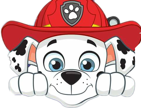 pawpatrol freetoedit #pawpatrol sticker by @sverinesellier