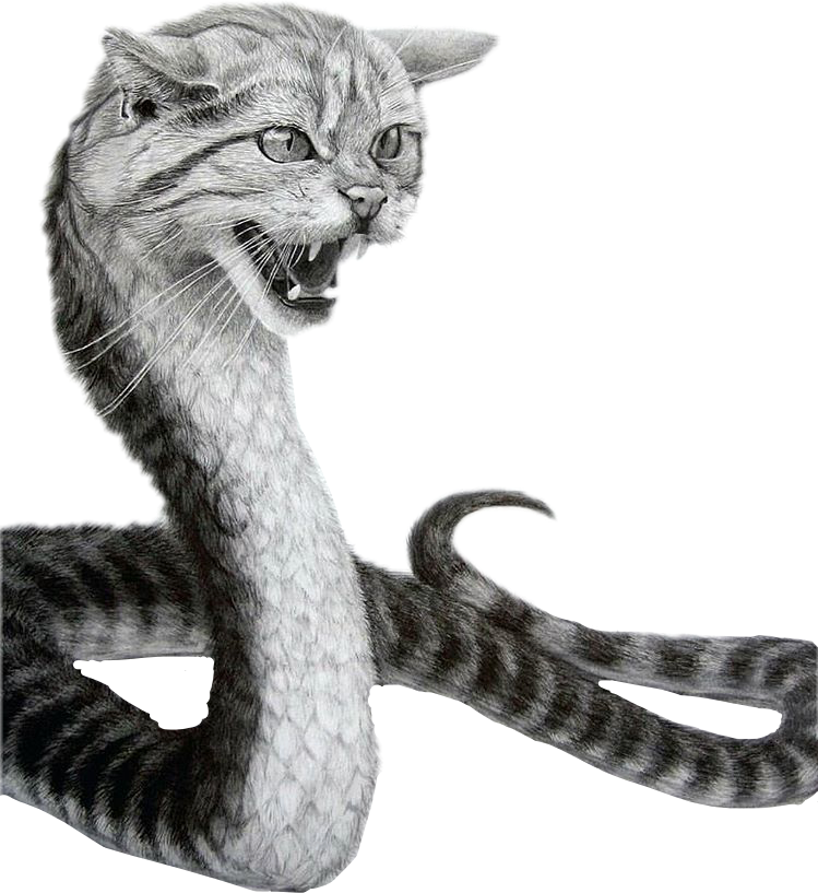 Cats snake. Кошки и змеи. Змея с головой кошки. Кошка и змея. Кот со змеиного.