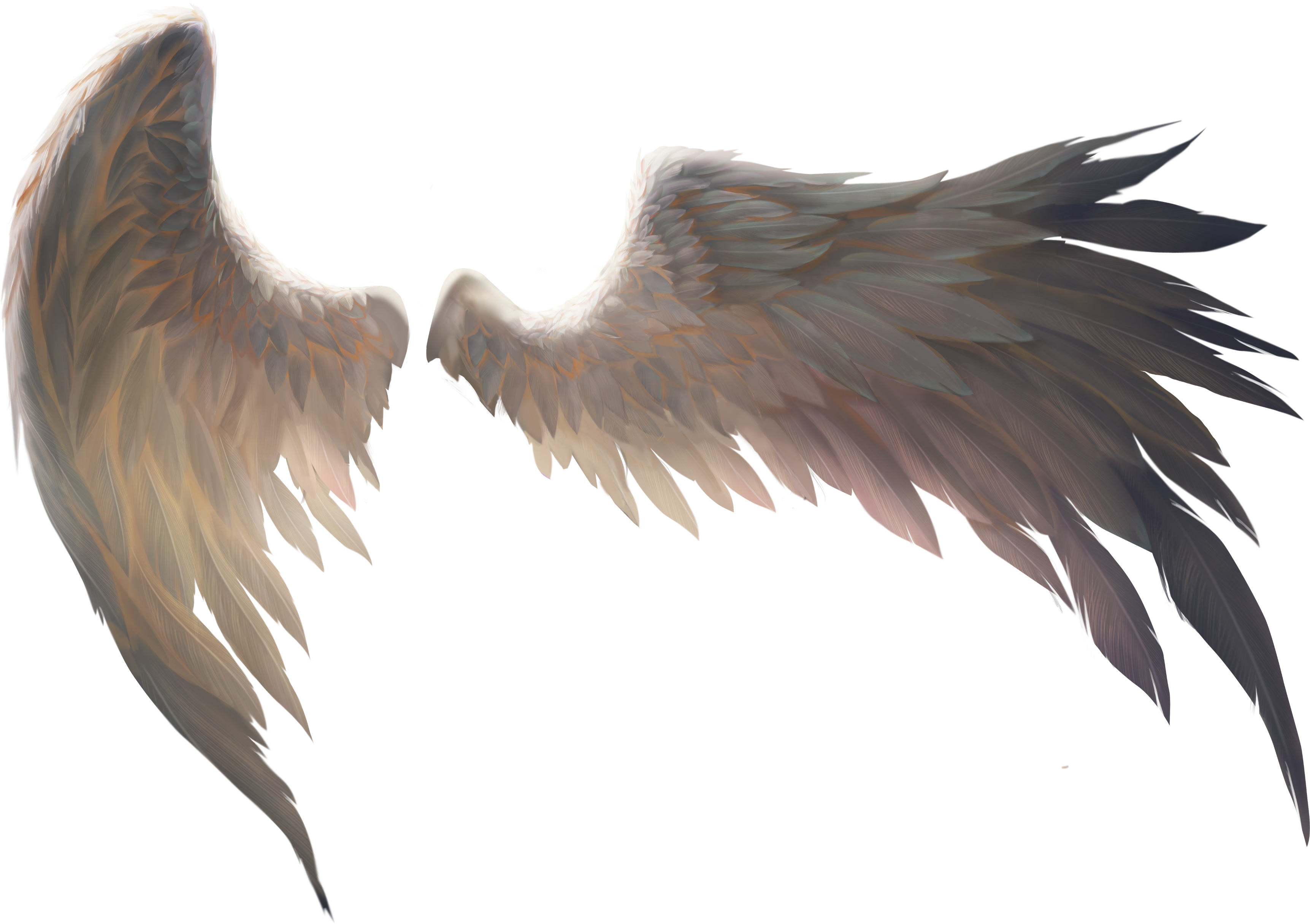 wings angelwings ftestickers - Sticker by Sammi