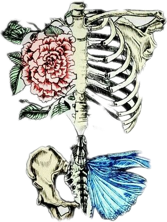 skeleton freetoedit #skeleton sticker by @livesinthedale